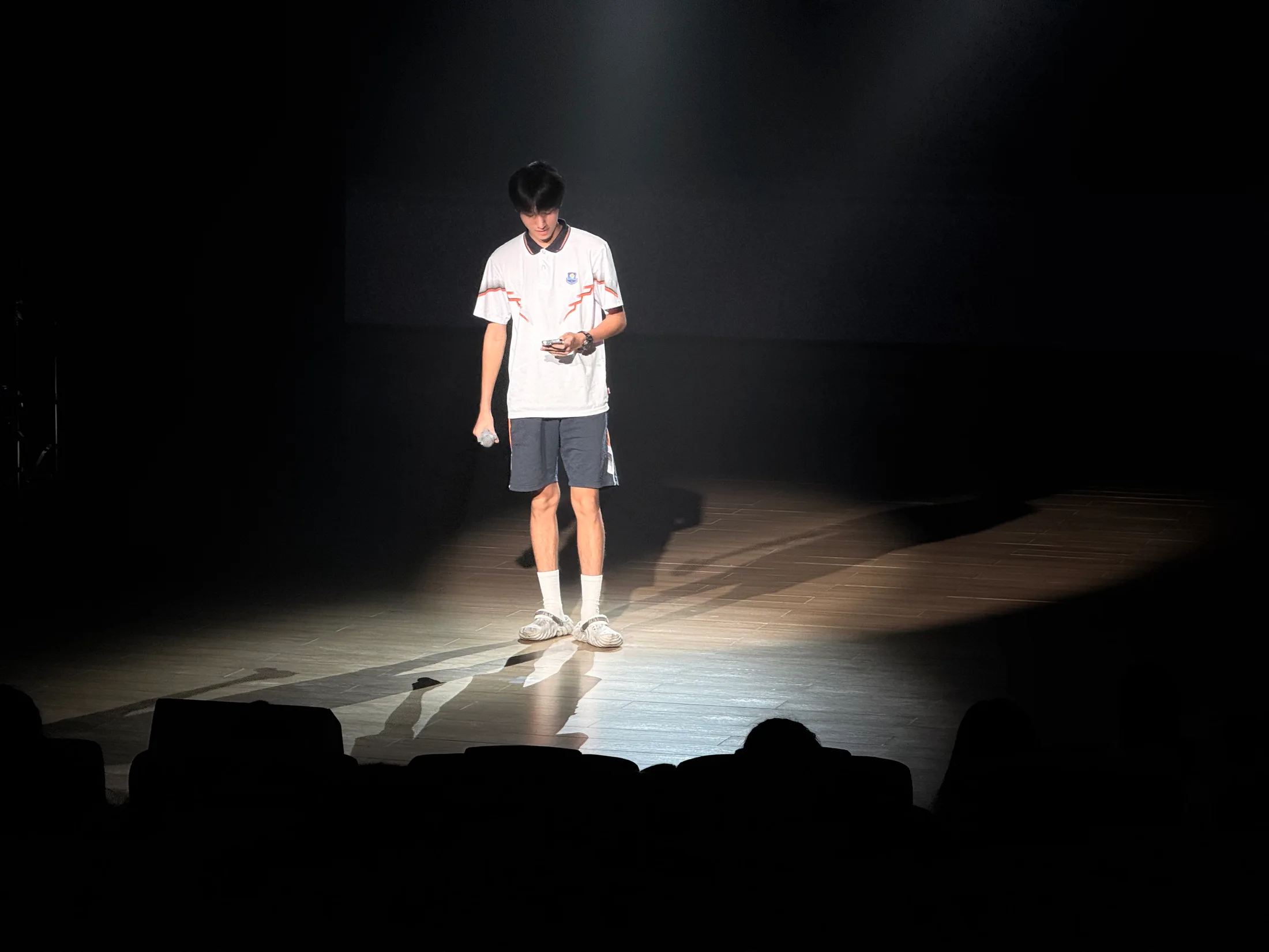 草坪音乐会 · 照片 2 / Lawn Concert photo 2