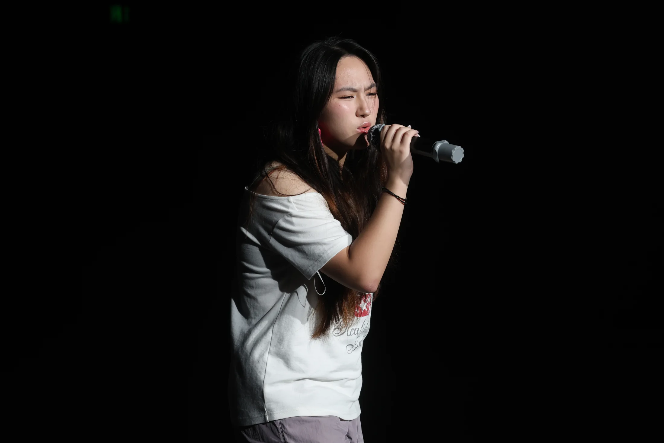 草坪音乐会 · 照片 9 / Lawn Concert photo 9