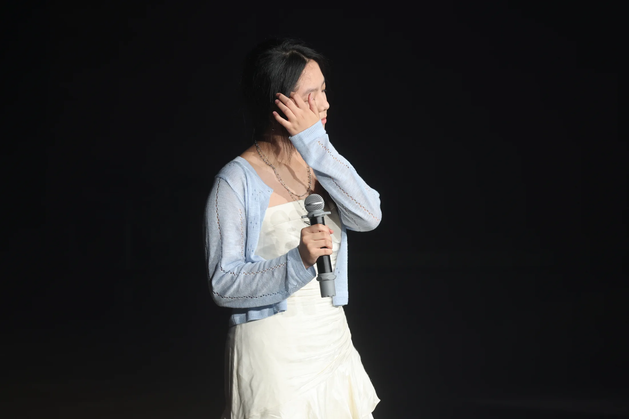 草坪音乐会 · 照片 25 / Lawn Concert photo 25