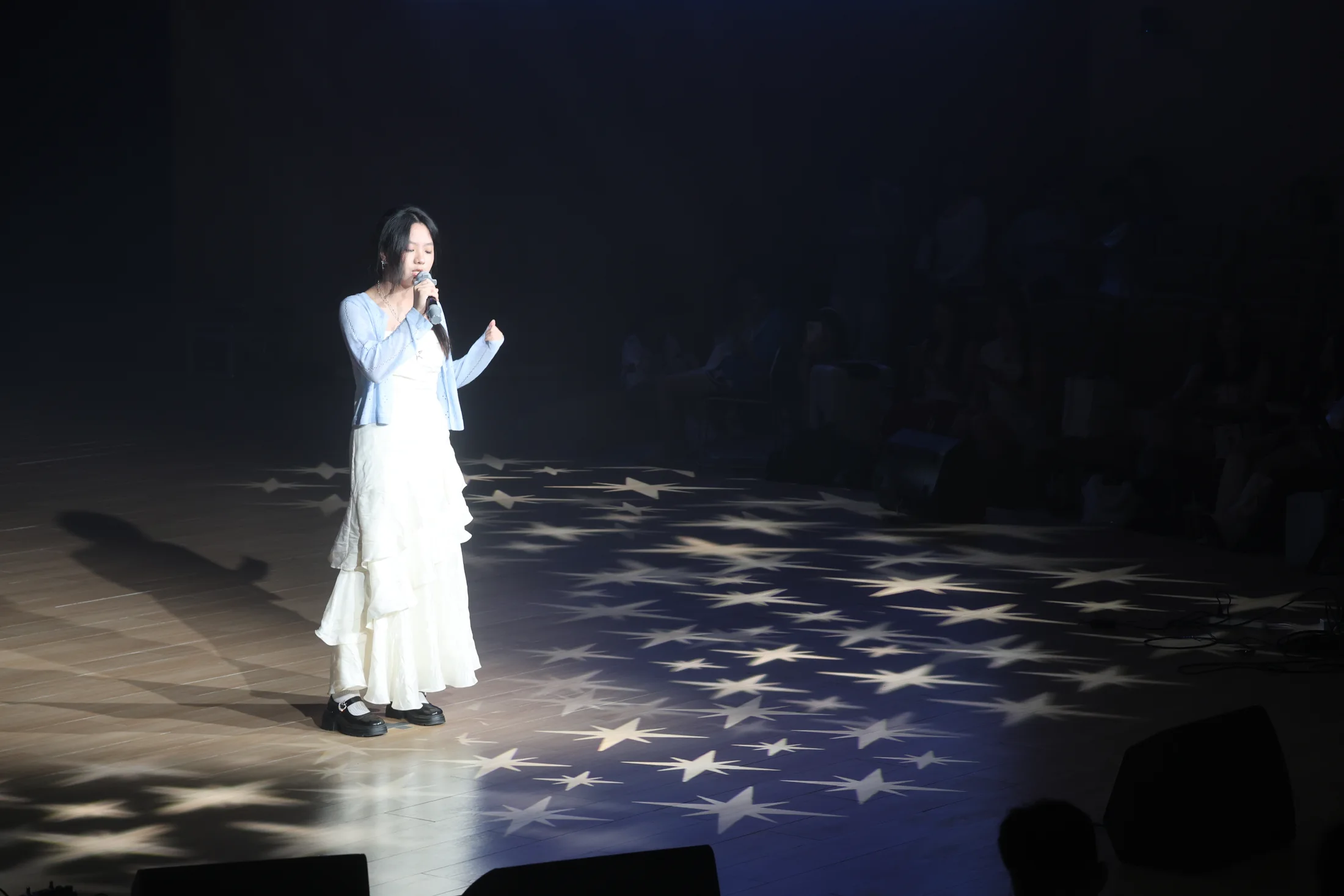 草坪音乐会 · 照片 26 / Lawn Concert photo 26