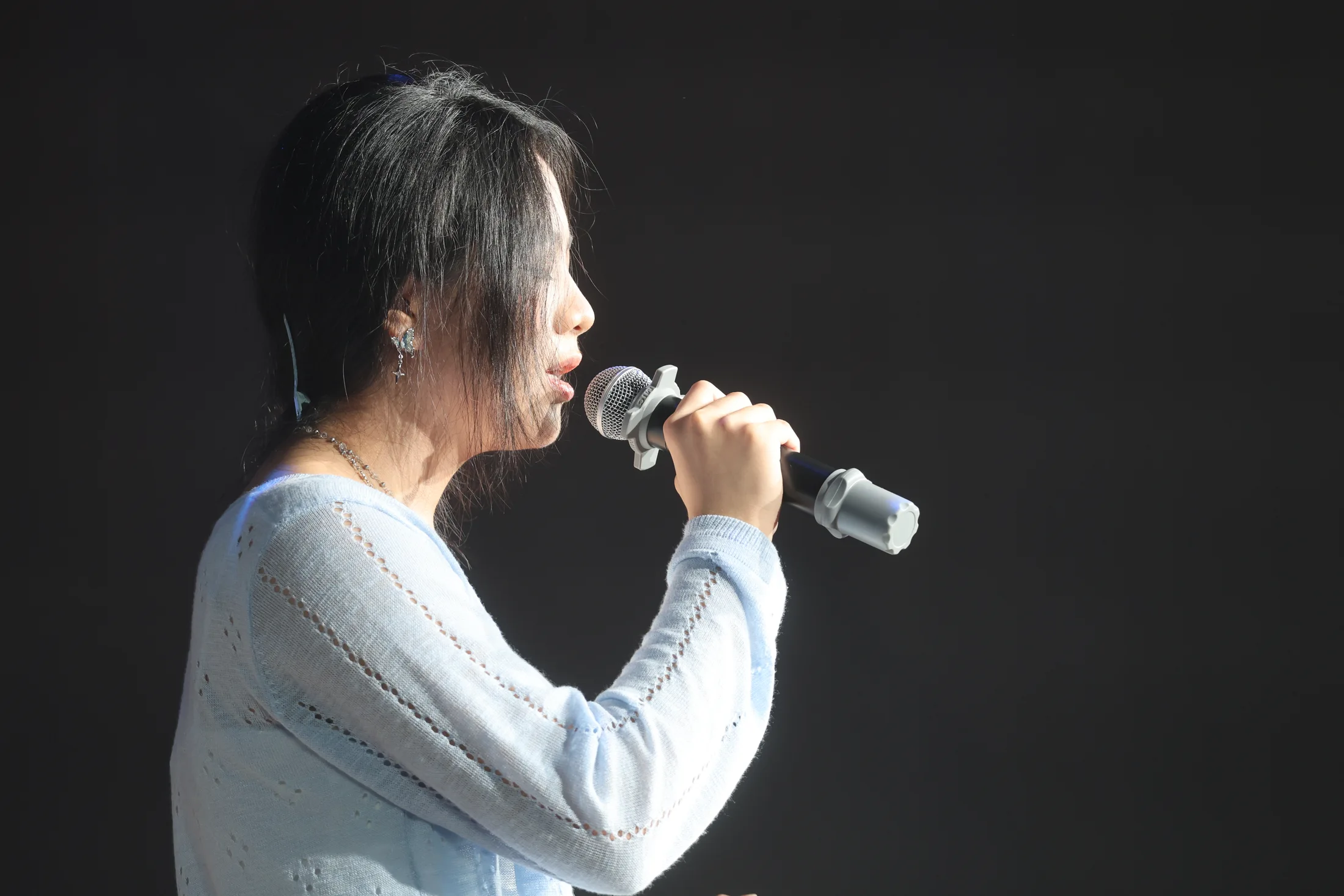 草坪音乐会 · 照片 27 / Lawn Concert photo 27