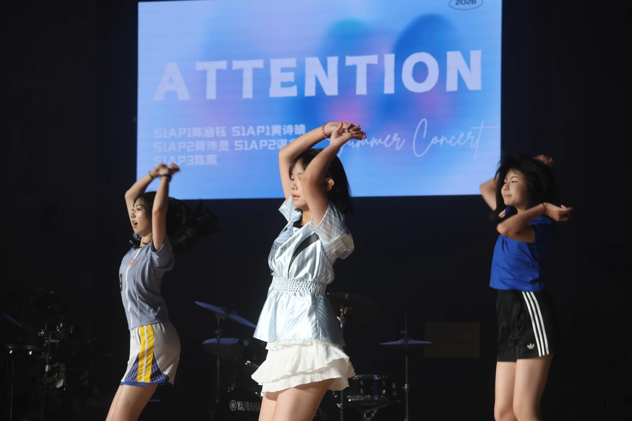 草坪音乐会 · 照片 28 / Lawn Concert photo 28