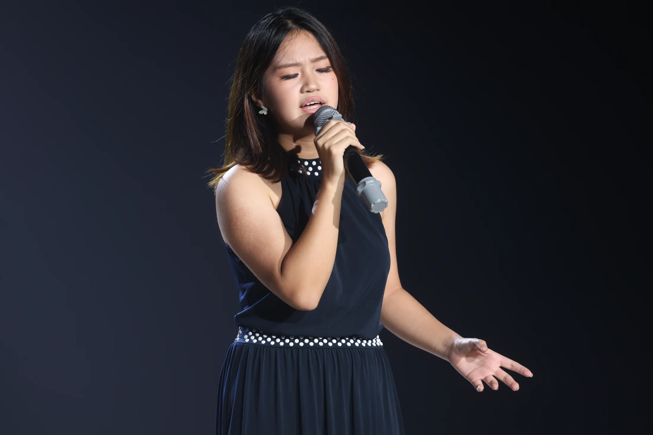 草坪音乐会 · 照片 31 / Lawn Concert photo 31